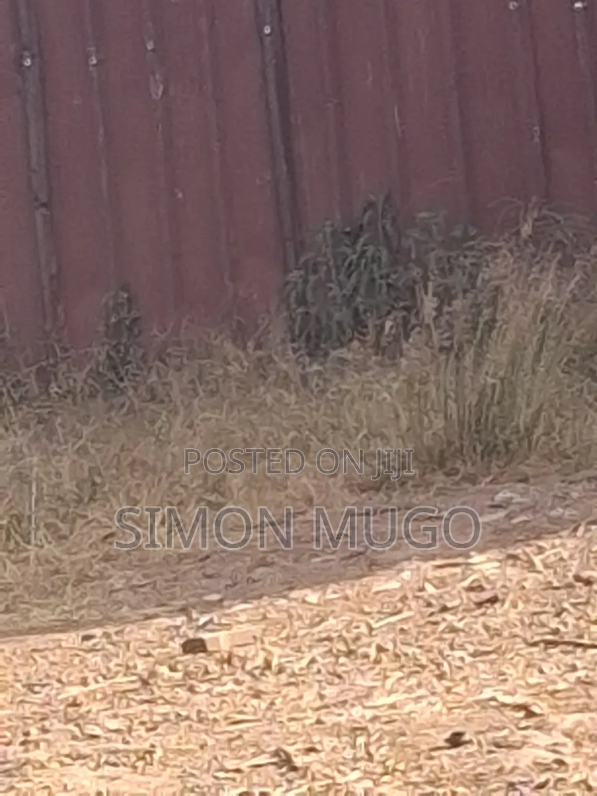 Northern Bypass Near Marurui Plot to Let Behind P/Station 2row