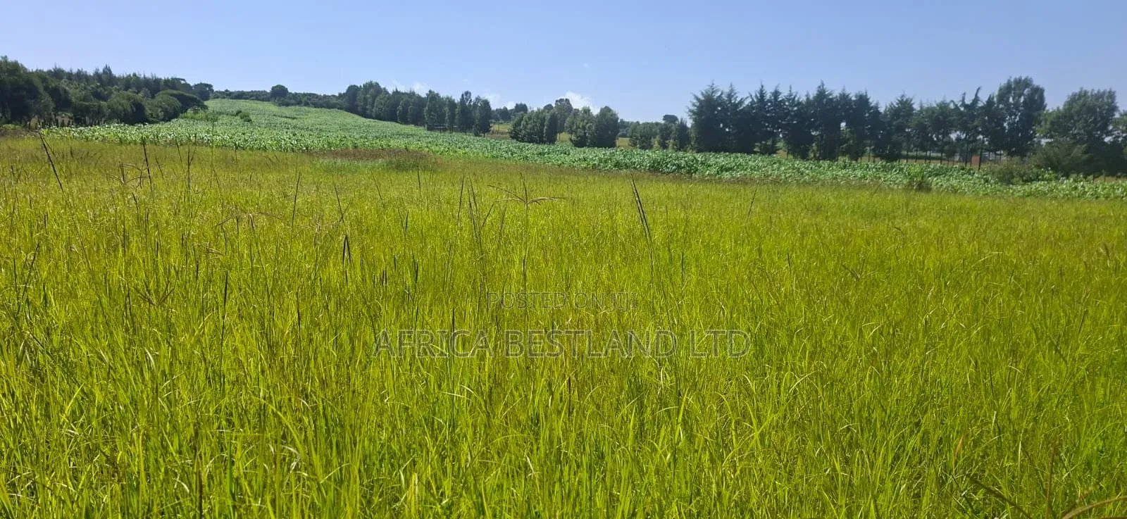 1⁄2 Acre Land for Sale – Gilgil Ngecha, Nakuru County