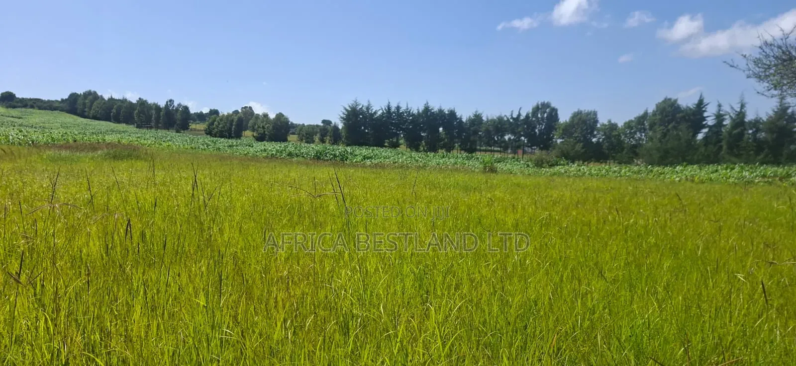 1⁄2 Acre Land for Sale – Gilgil Ngecha, Nakuru County