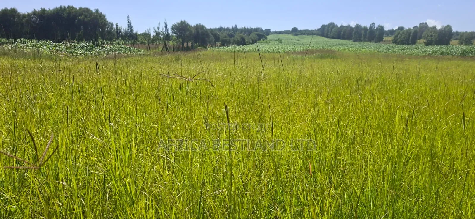 1⁄2 Acre Land for Sale – Gilgil Ngecha, Nakuru County