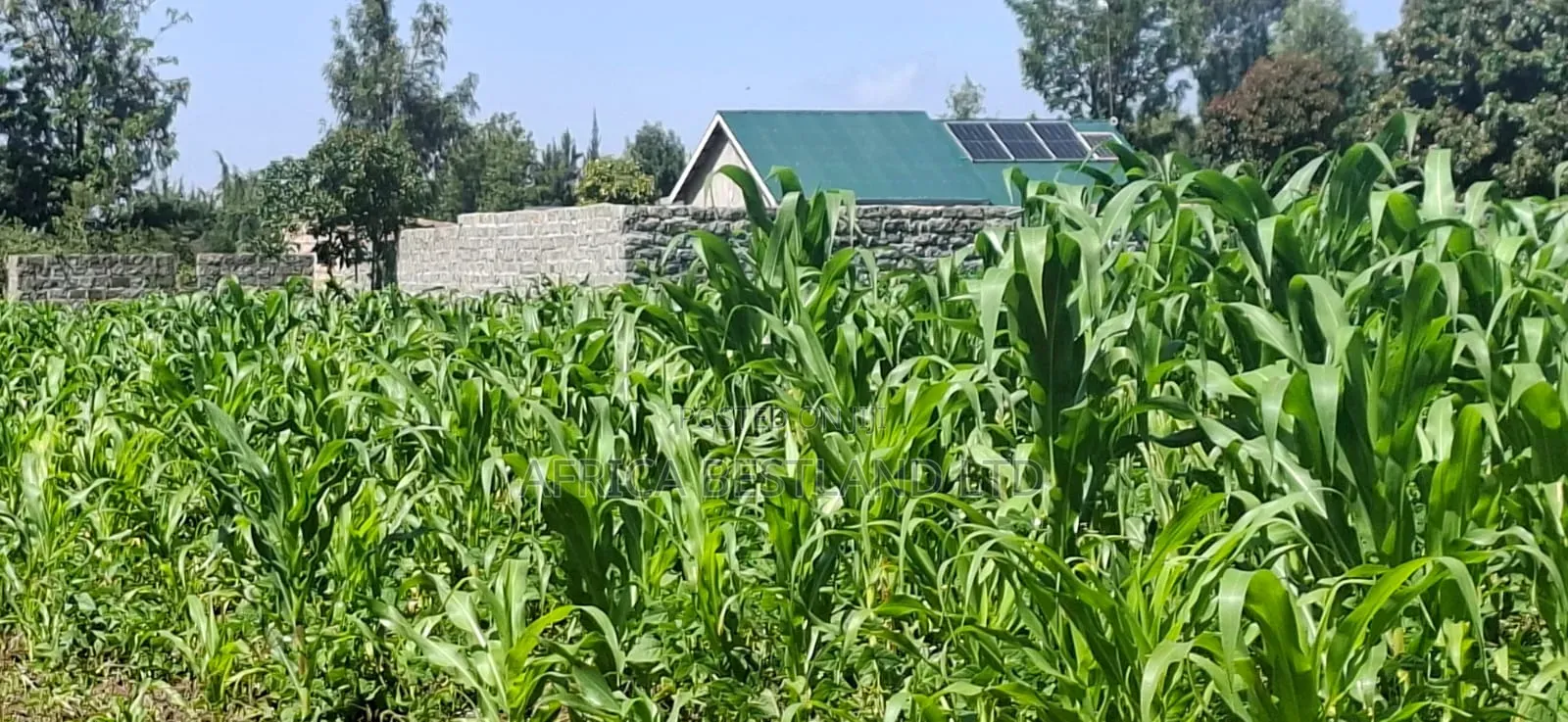 1⁄2 Acre Land for Sale – Gilgil Ngecha, Nakuru County