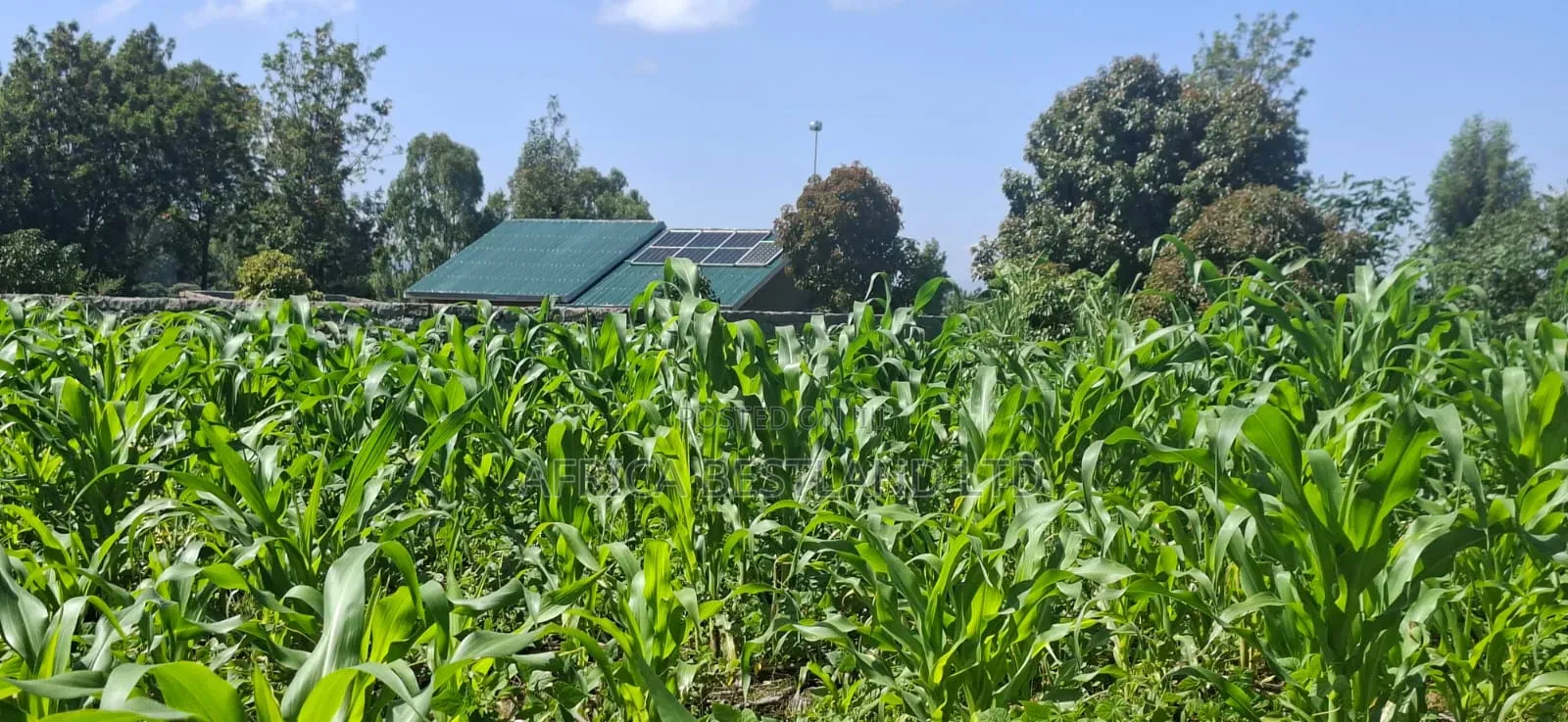 1⁄2 Acre Land for Sale – Gilgil Ngecha, Nakuru County