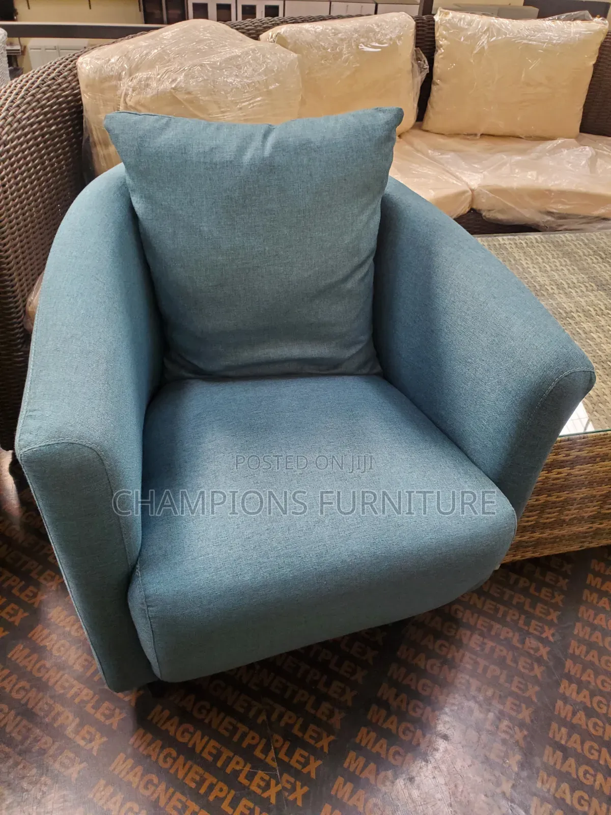 Horizon Tub Leisure/Accent Chair