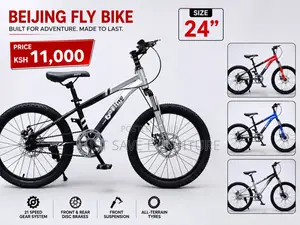 Beijing Fly 24-Inch Mountain Bike