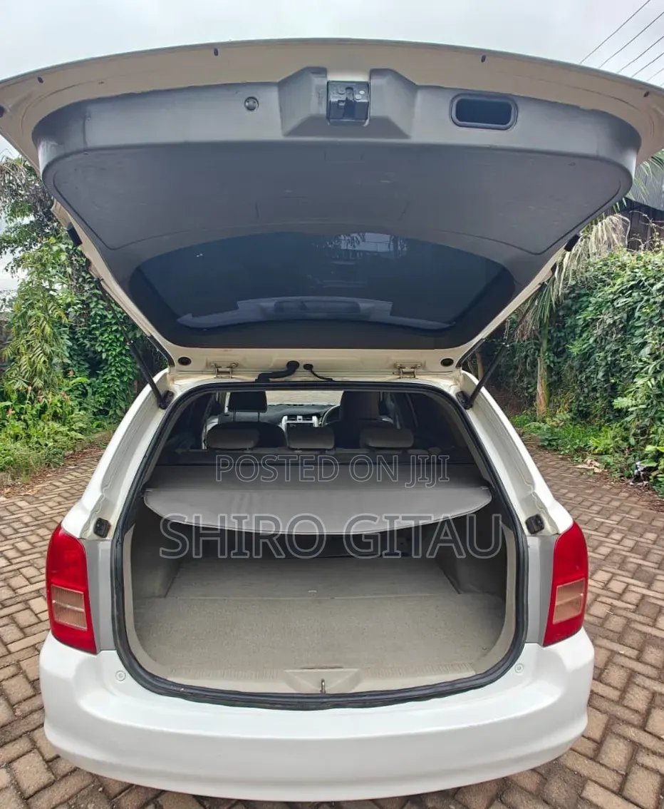 Toyota Corolla Fielder 2009 White