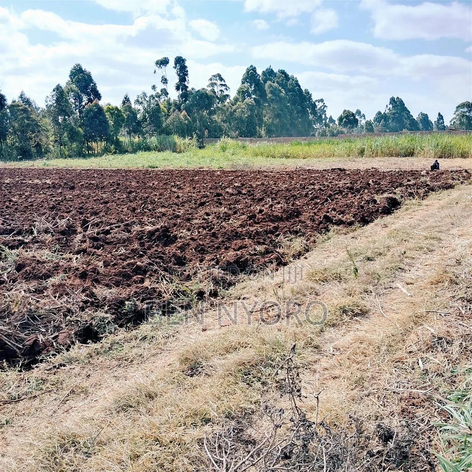 1/2 an Acre Land for Sale in Kikuyu