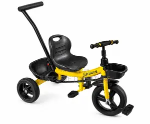 Tricycle With Push Handle