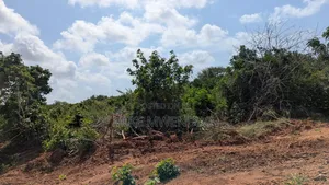 Lands and Plots