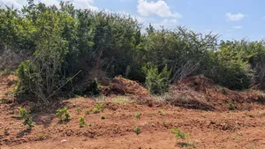 Lands and Plots