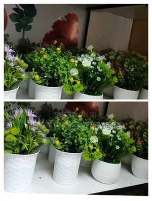 Artificial Home/Office, Spa Hotel Flower's