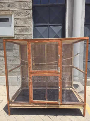Cage for Birds