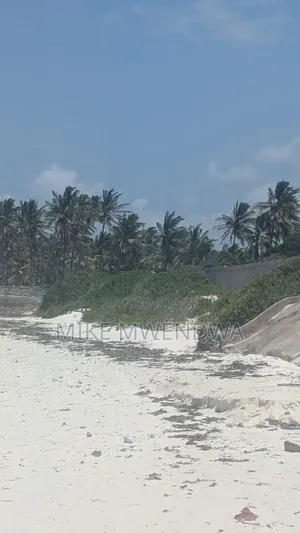 Land and Plots