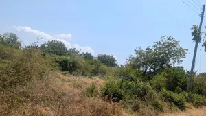 Land and Plots
