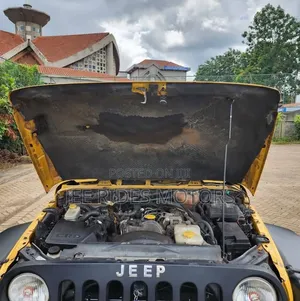 Jeep Wrangler 2010 Yellow