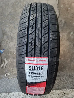 225 /65 R17 Chaoyang Tyres 102t Su318 a/T All-Terrain
