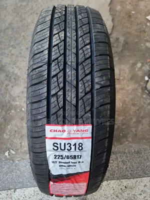 225 /65 R17 Chaoyang Tyres 102t Su318 a/T All-Terrain