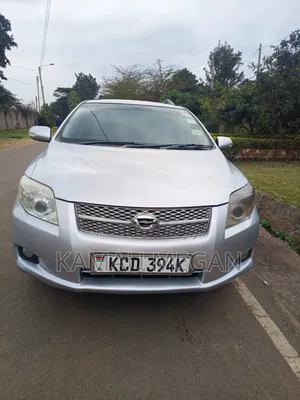 Toyota Corolla Fielder 2008 Silver