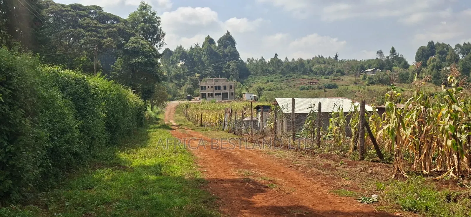 50×100 Plot for Sale – Kikuyu Migumoini |