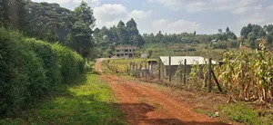 50×100 Plot for Sale – Kikuyu Migumoini |
