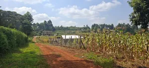 50×100 Plot for Sale – Kikuyu Migumoini |
