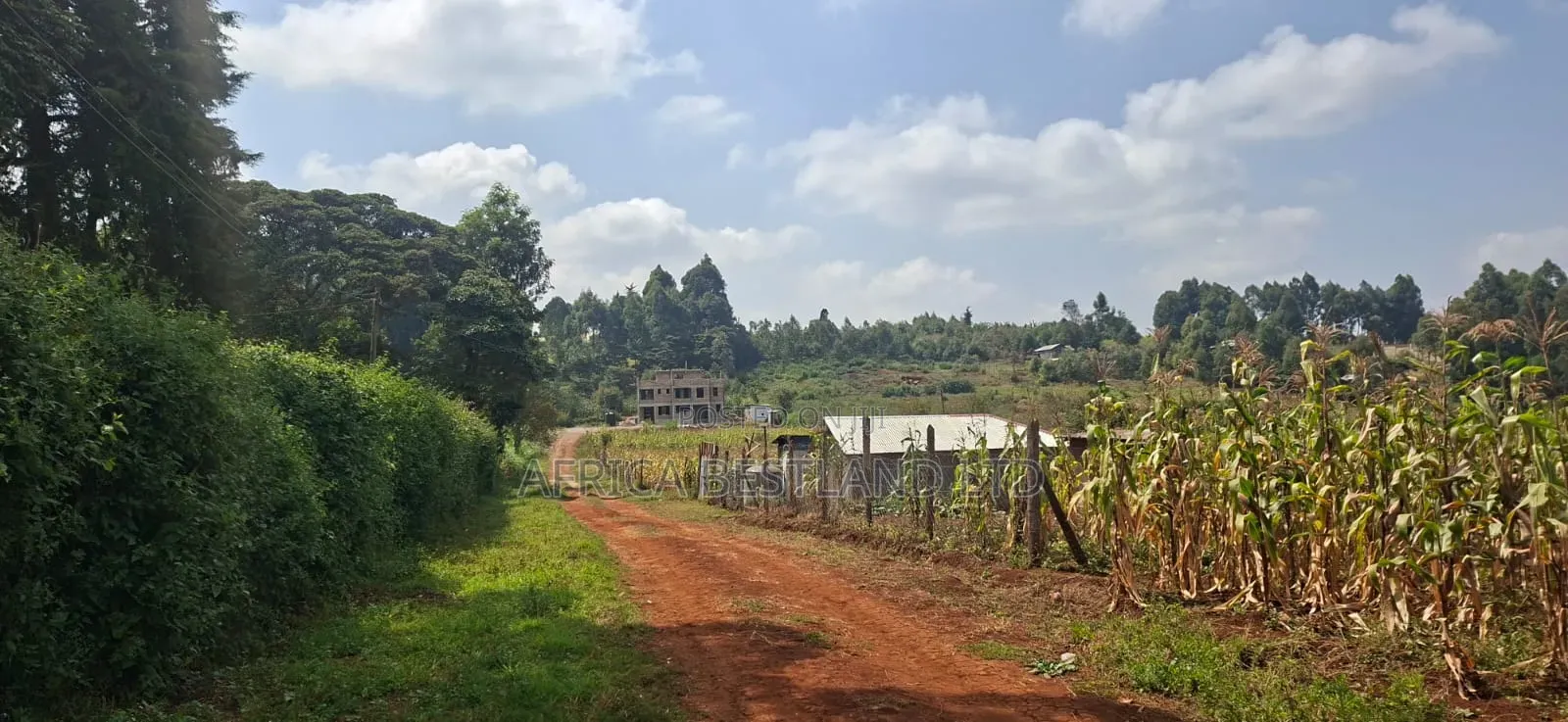50×100 Plot for Sale – Kikuyu Migumoini |