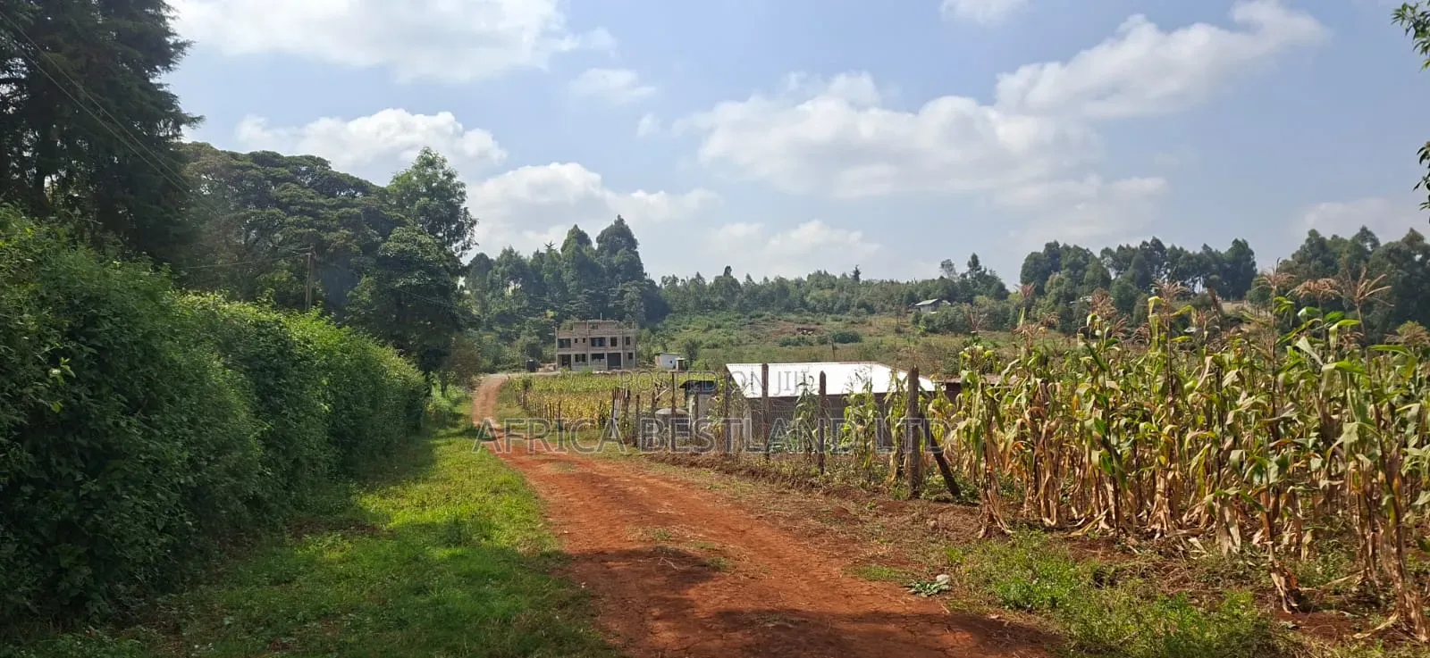 50×100 Plot for Sale – Kikuyu Migumoini |