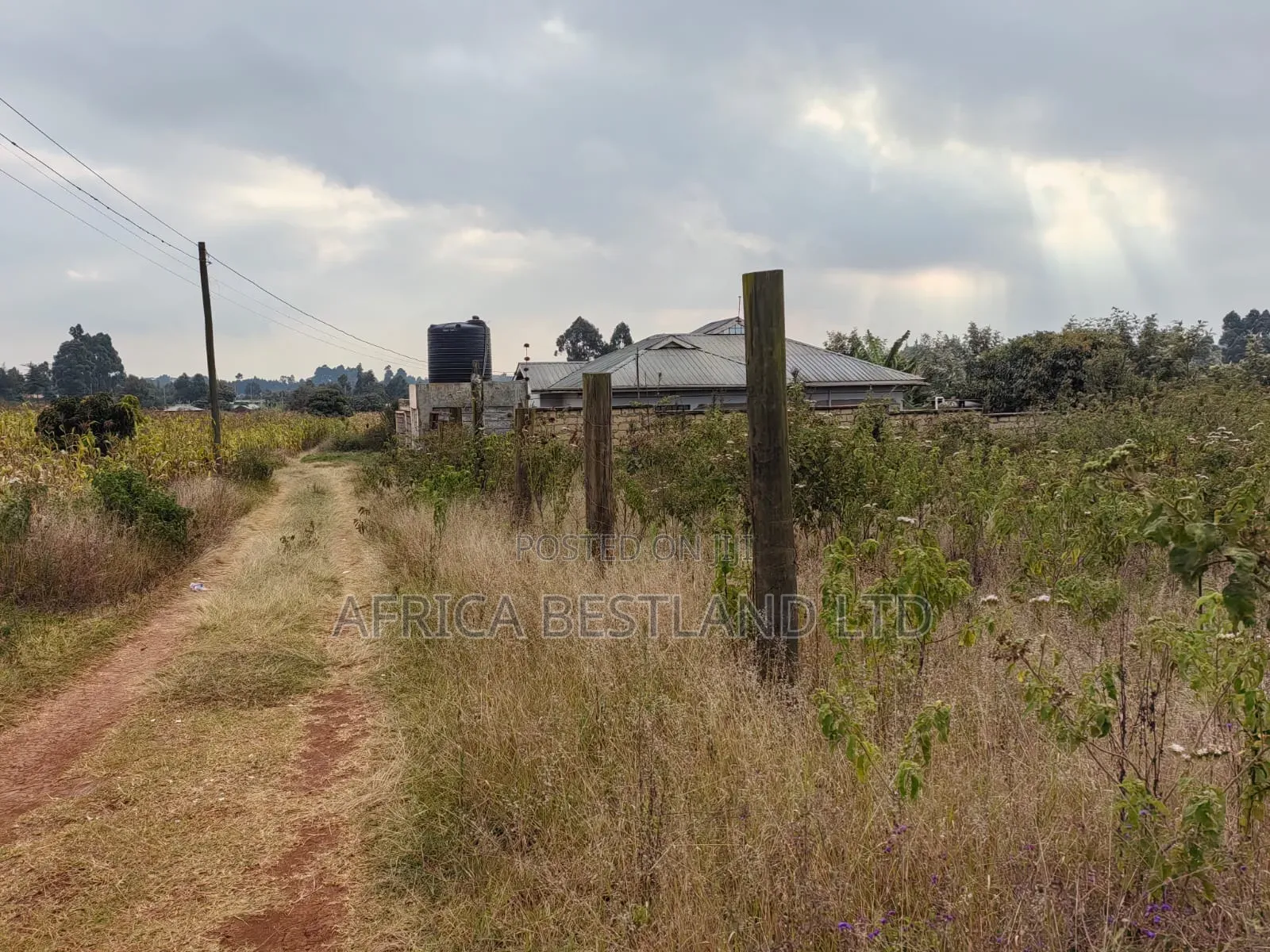 50×100 Plot for Sale – Kikuyu Migumoini |