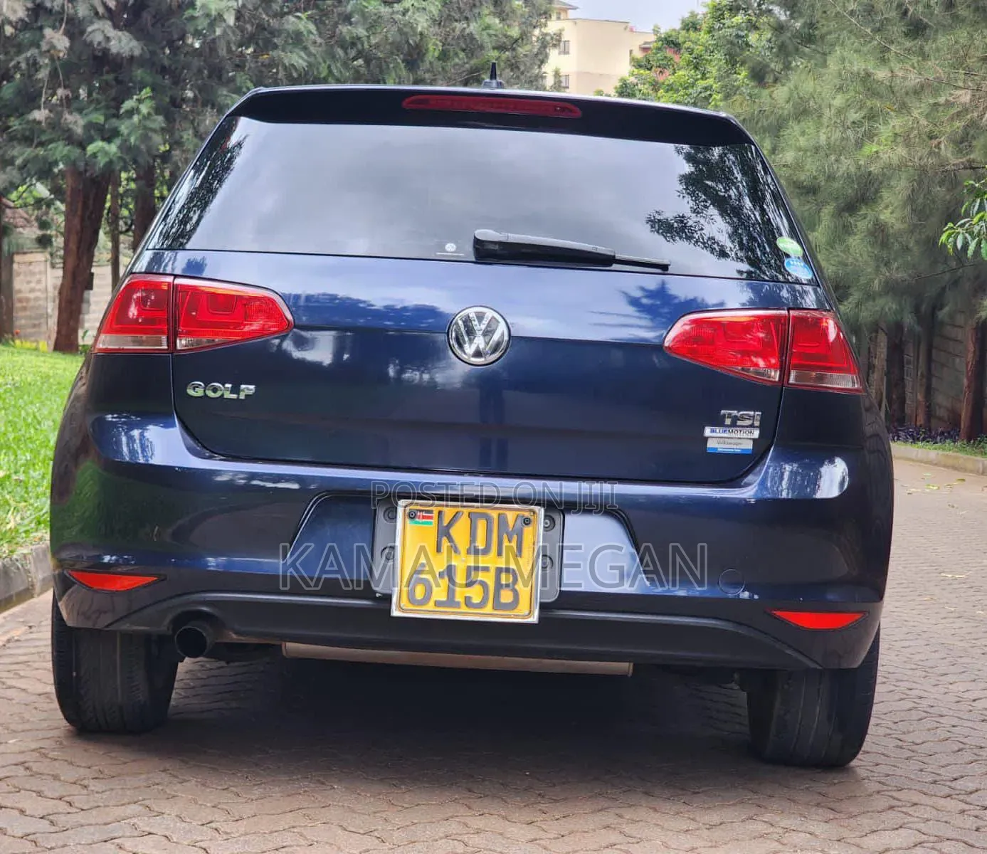 Volkswagen Golf Variant 2016 Blue