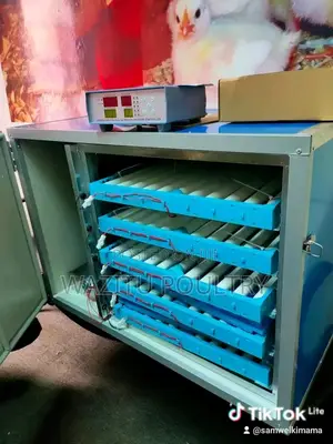 204 Eggs Incubator