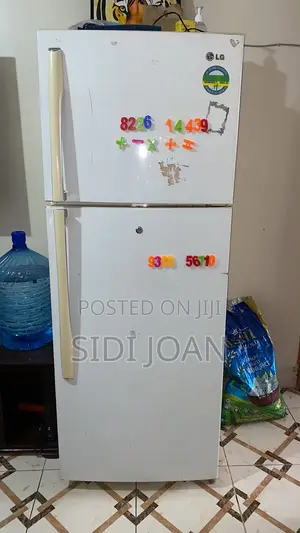 349L Capacity LG Fridge
