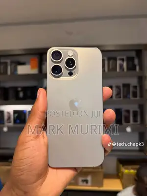 Apple iPhone 15 Pro Max 256 GB Gray