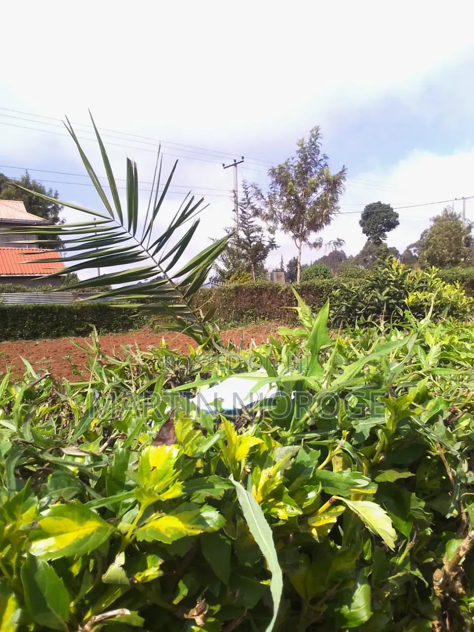 land for sale — image 1 of 2