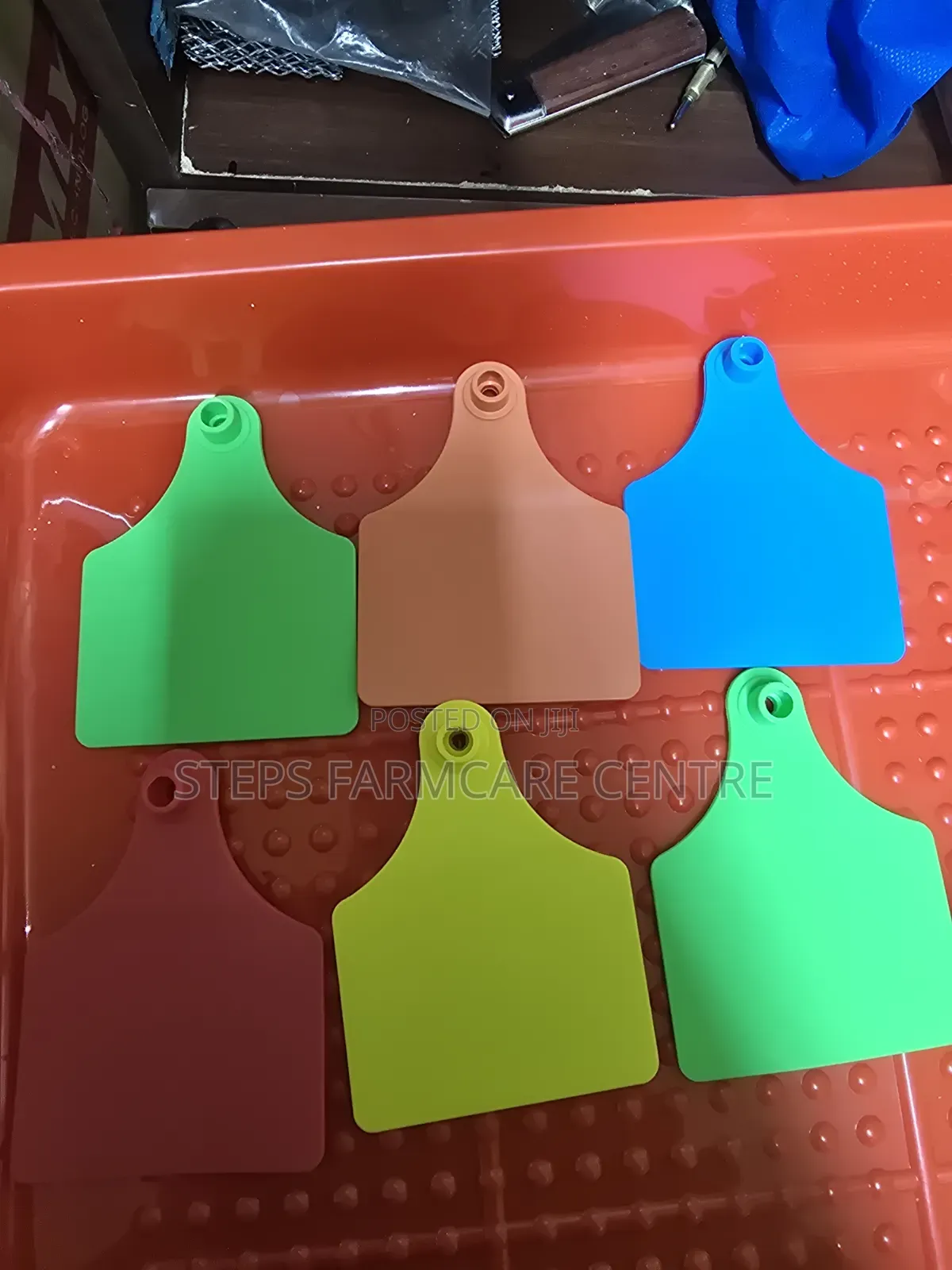 Plain Cow Ear Tags