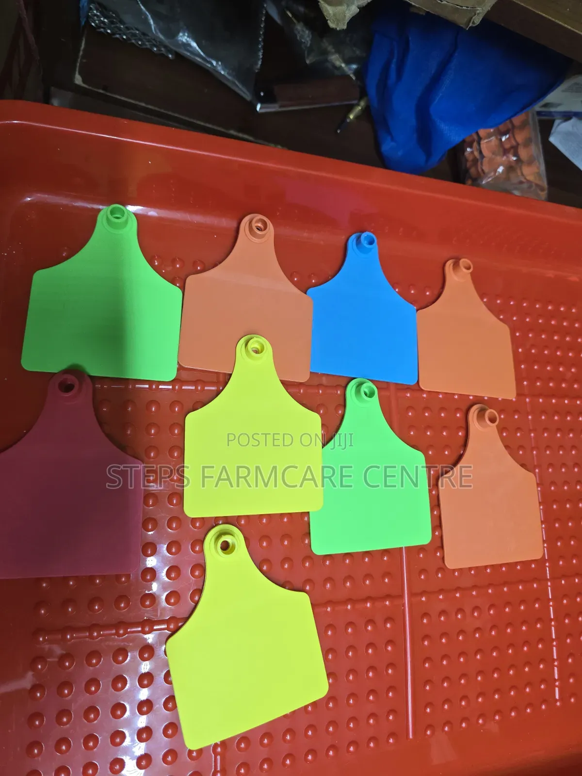 Multi Coloured Cow Tags
