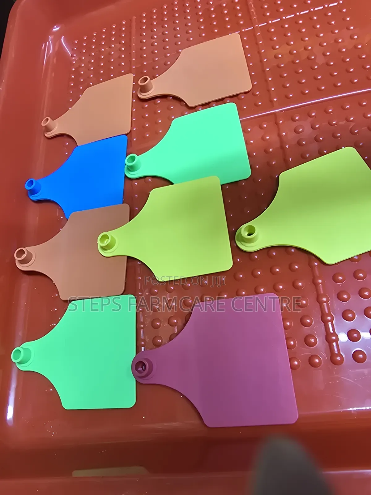 Multi Coloured Cow Tags