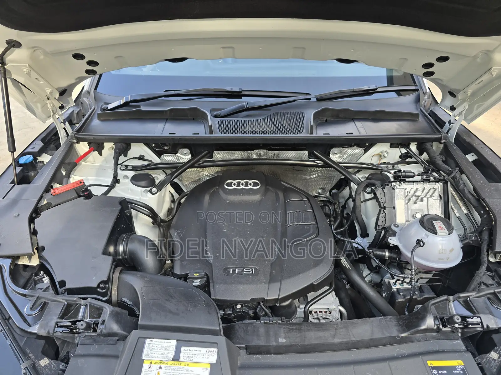 Audi Q5 2.0T Premium AWD quattro 2019 White