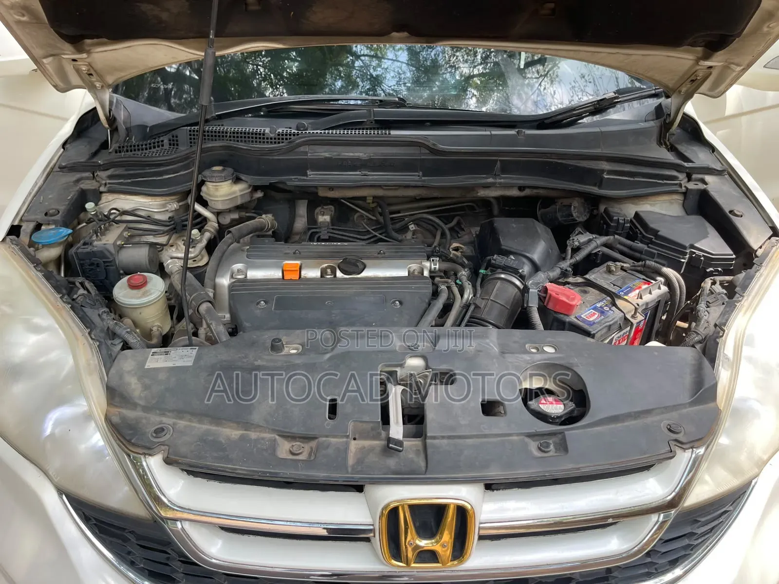Honda CR-V 2011 Pearl