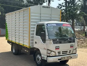 Isuzu NKR Local 2018