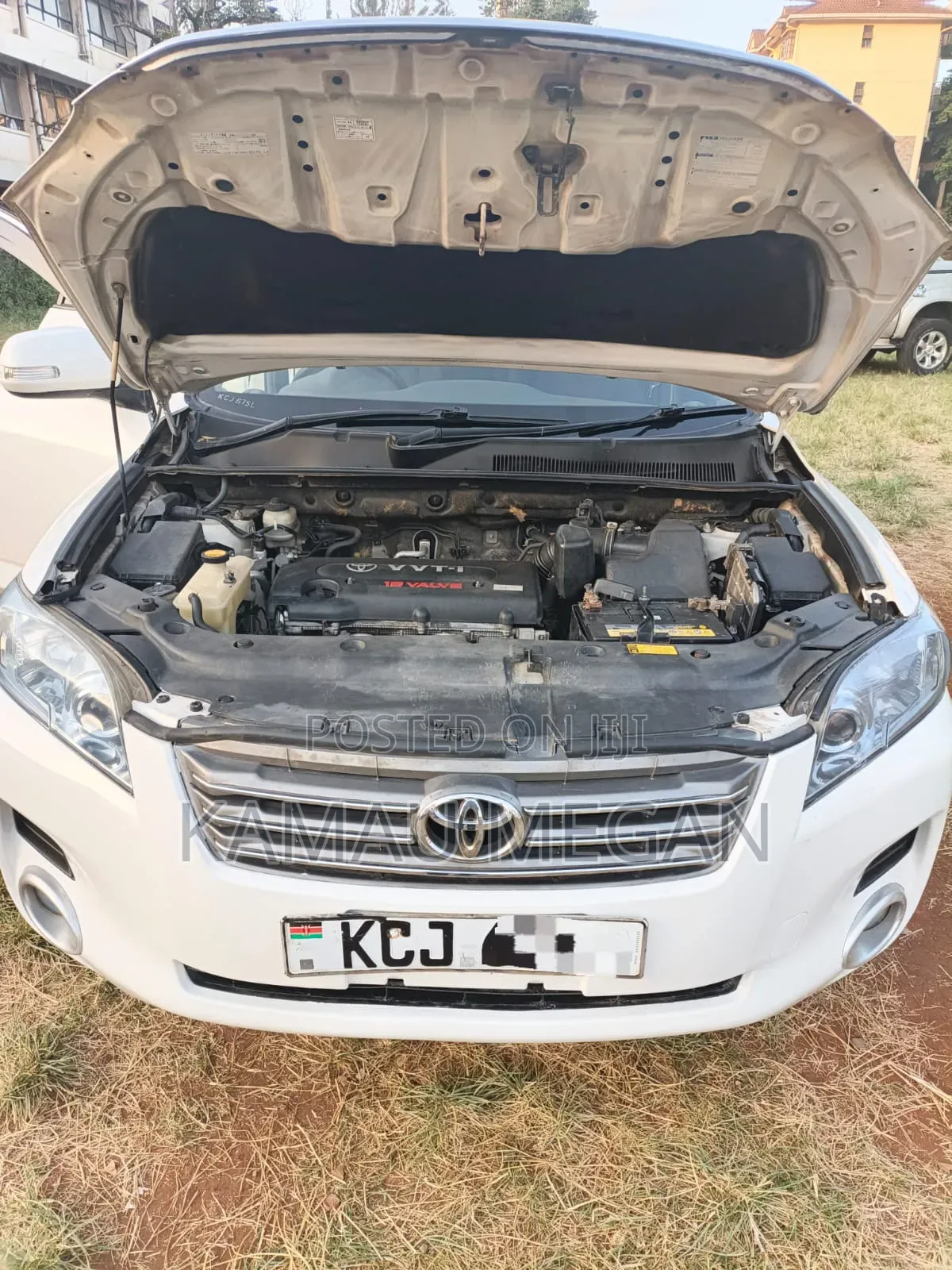 Toyota Vanguard 2010 White