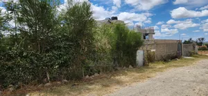 Plot for Sale