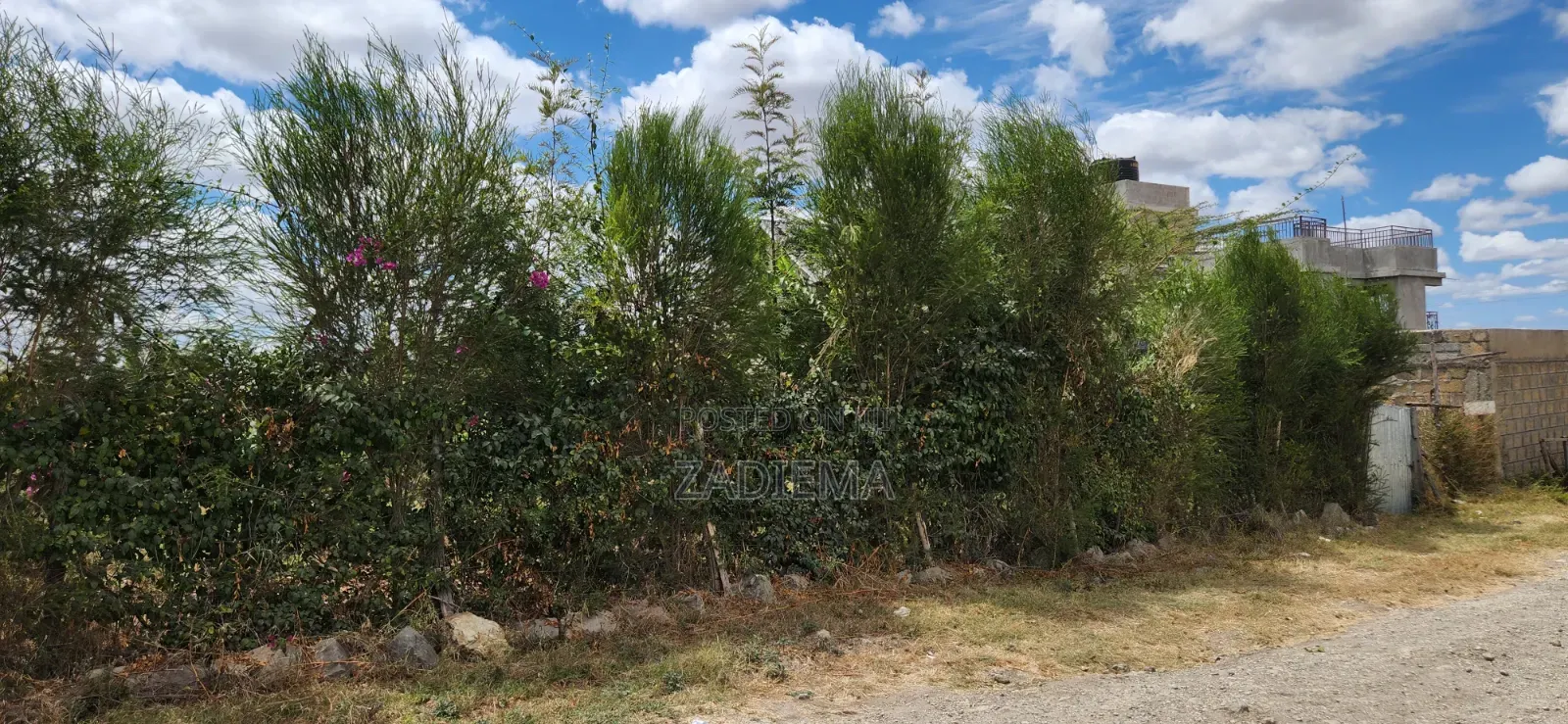 Plot for Sale