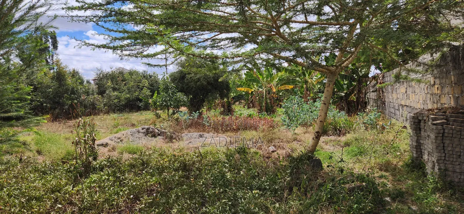 Plot for Sale