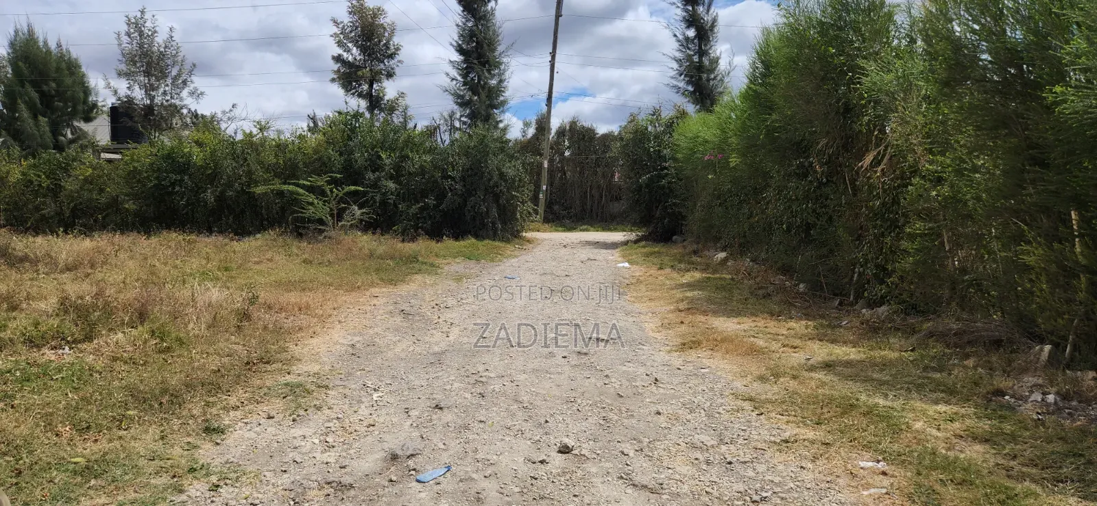 Plot for Sale