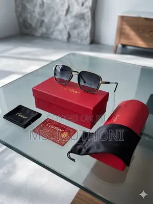 Cartier Santos De Cartier Navigator Sunglasses