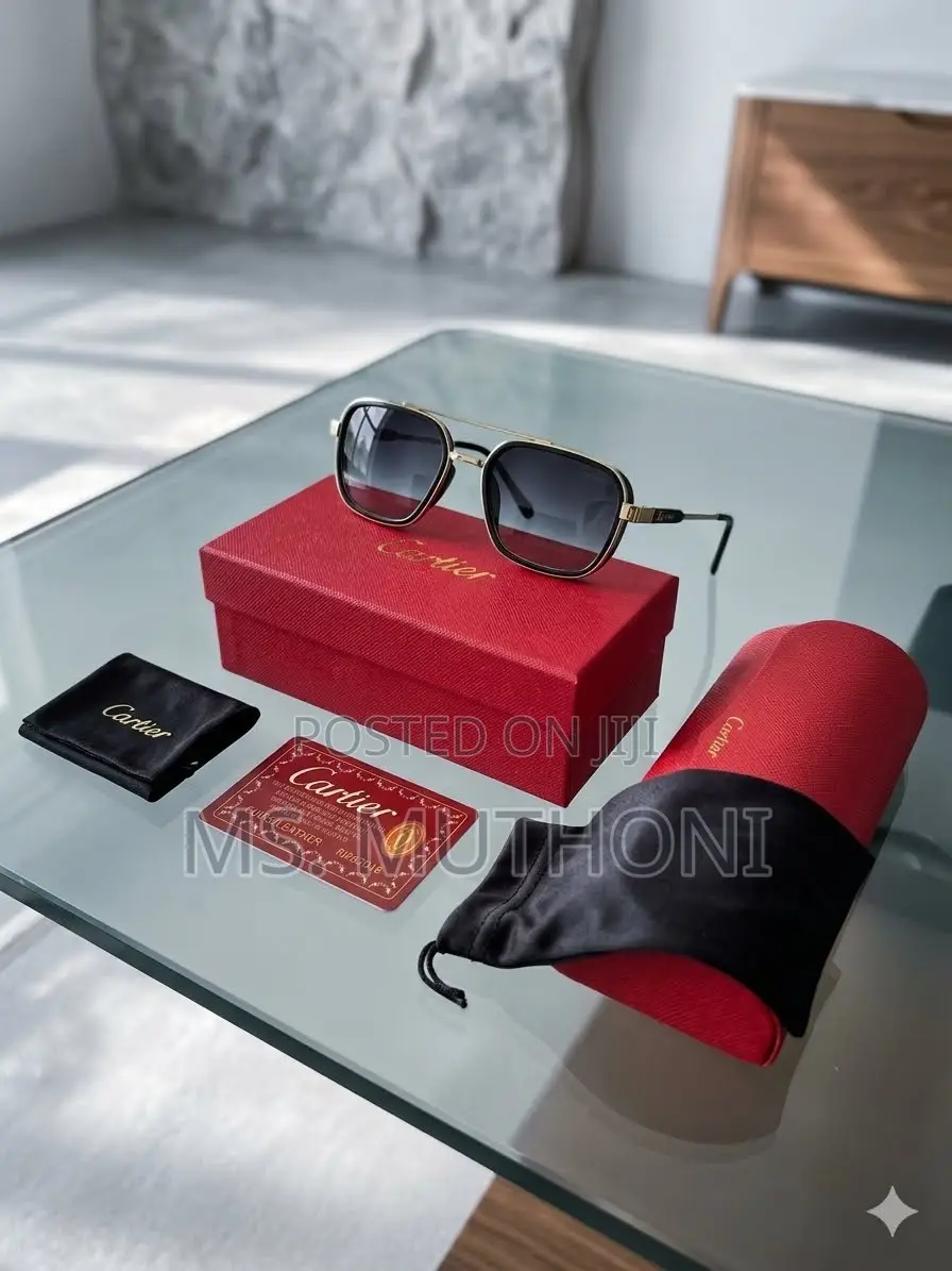 Cartier Santos De Cartier Navigator Sunglasses