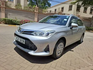 Toyota Corolla Fielder 2018 Silver
