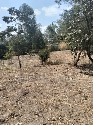 1.25 Acres Land on Sale at Kenol-Kimorori
