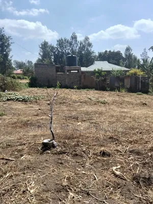 1.25 Acres Land on Sale at Kenol-Kimorori