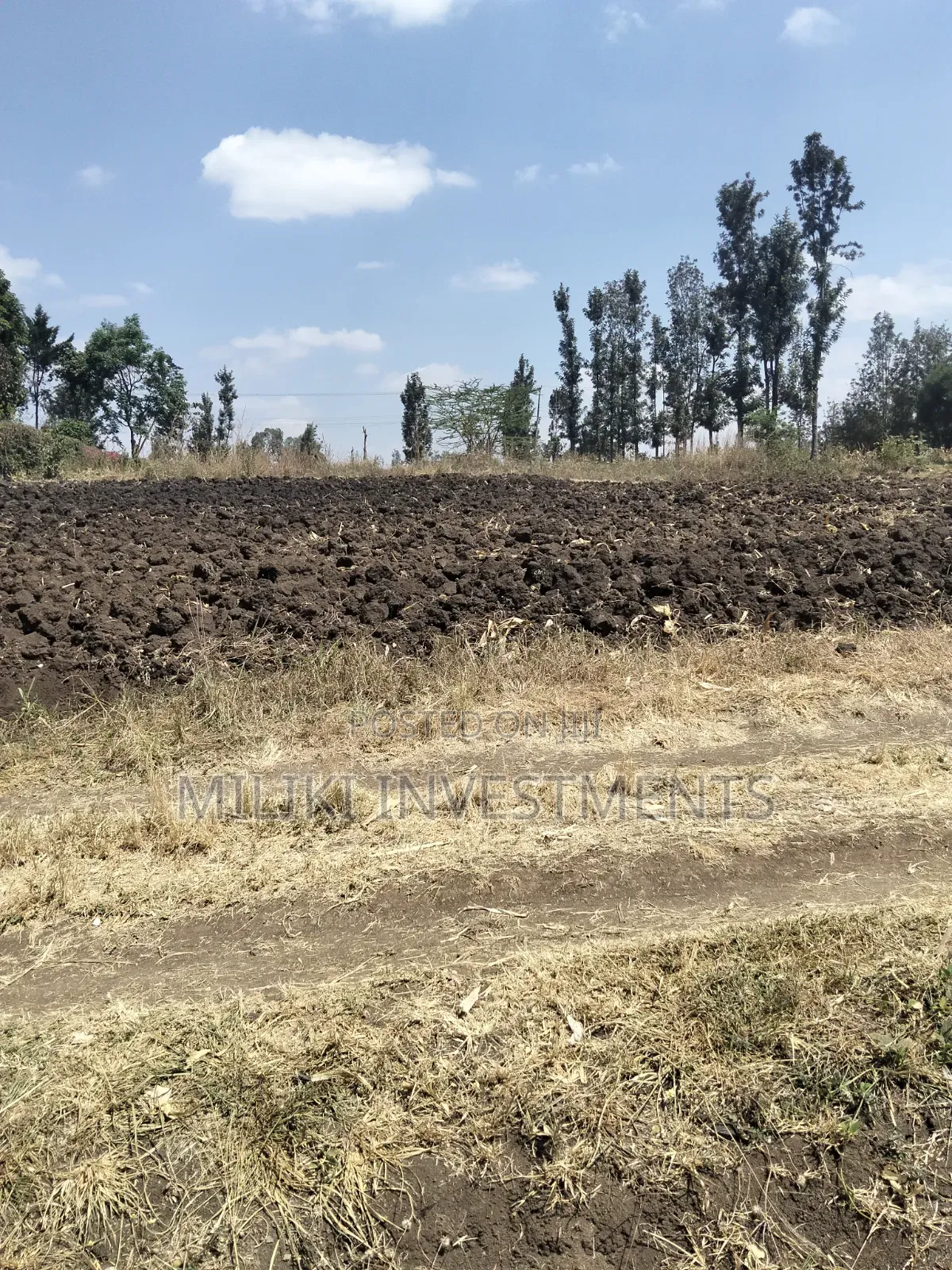 1.25 Acres Land on Sale at Kenol-Kimorori