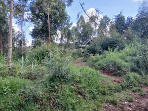 Tea Land for Sale